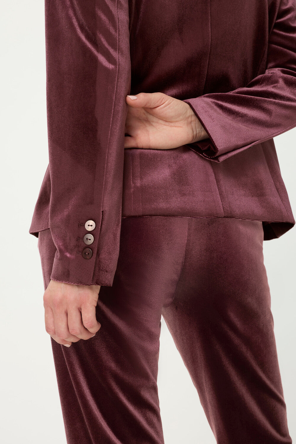 Velvet Blazer in Dark Wine