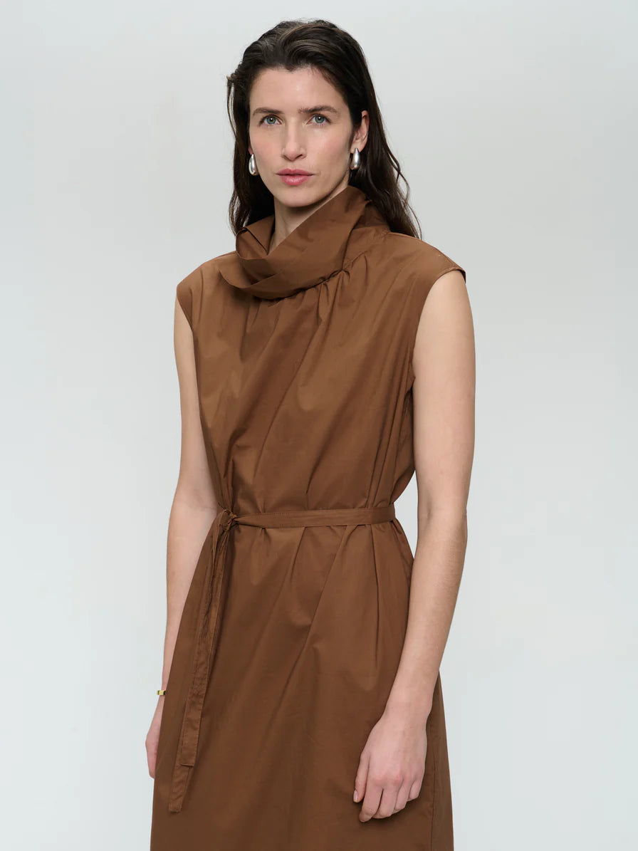 Poplin Dress in Brown