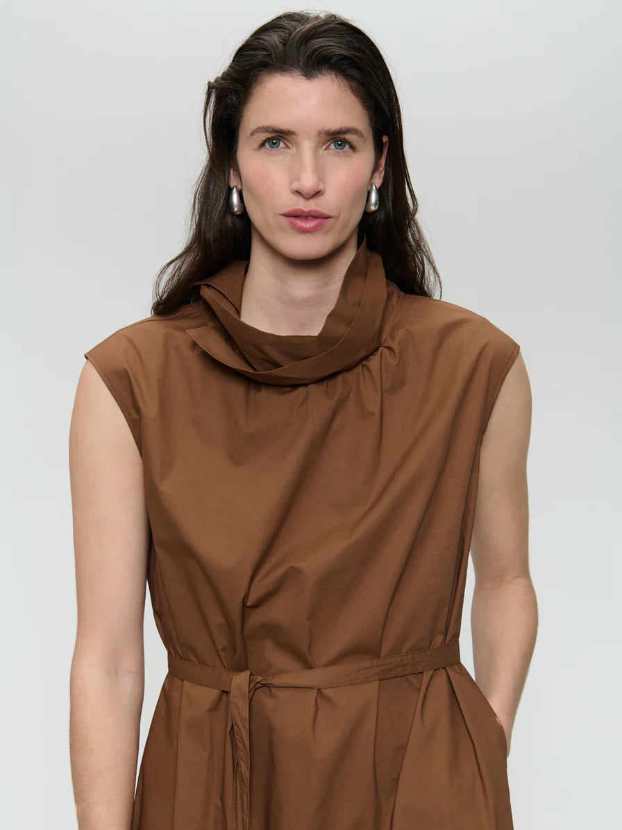 Poplin Dress in Brown