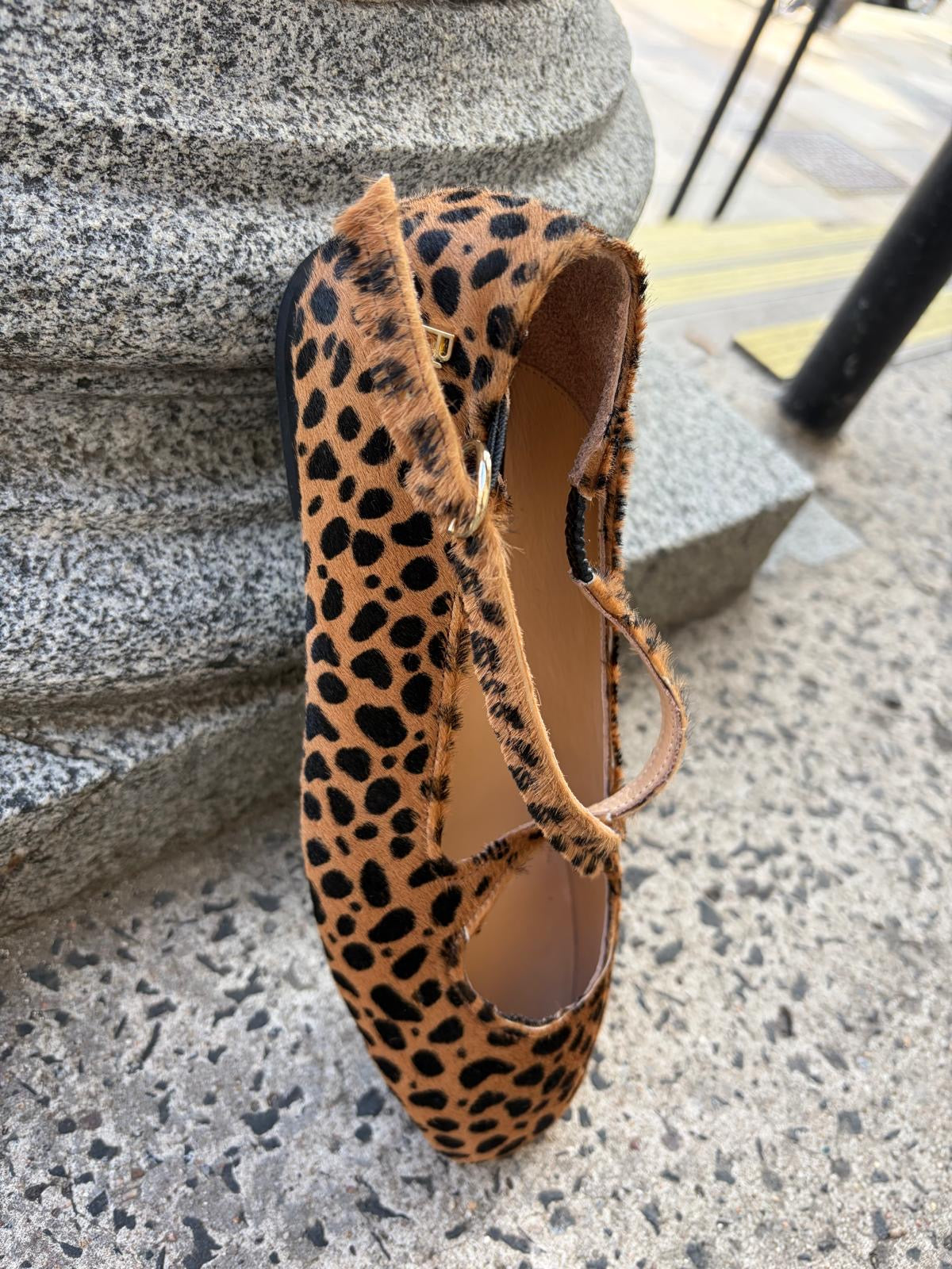 Jelka Leopard Print Ballet Pump in Pantar Cognac