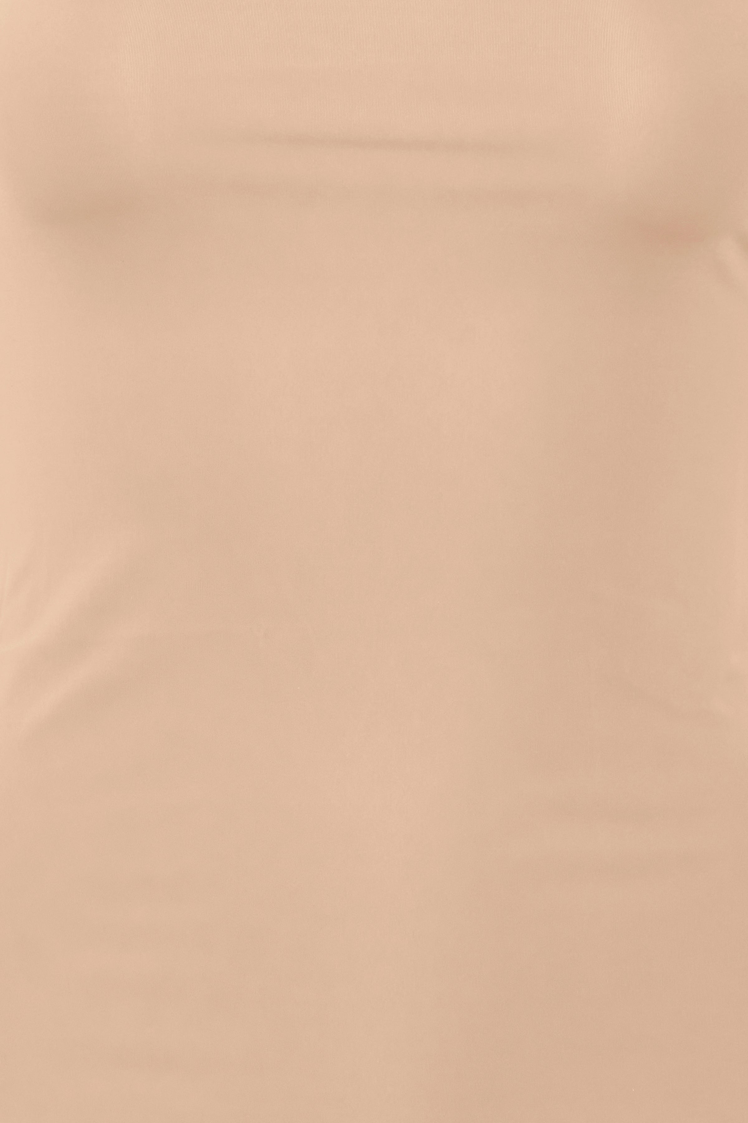 Iasiv Singlet in Tan