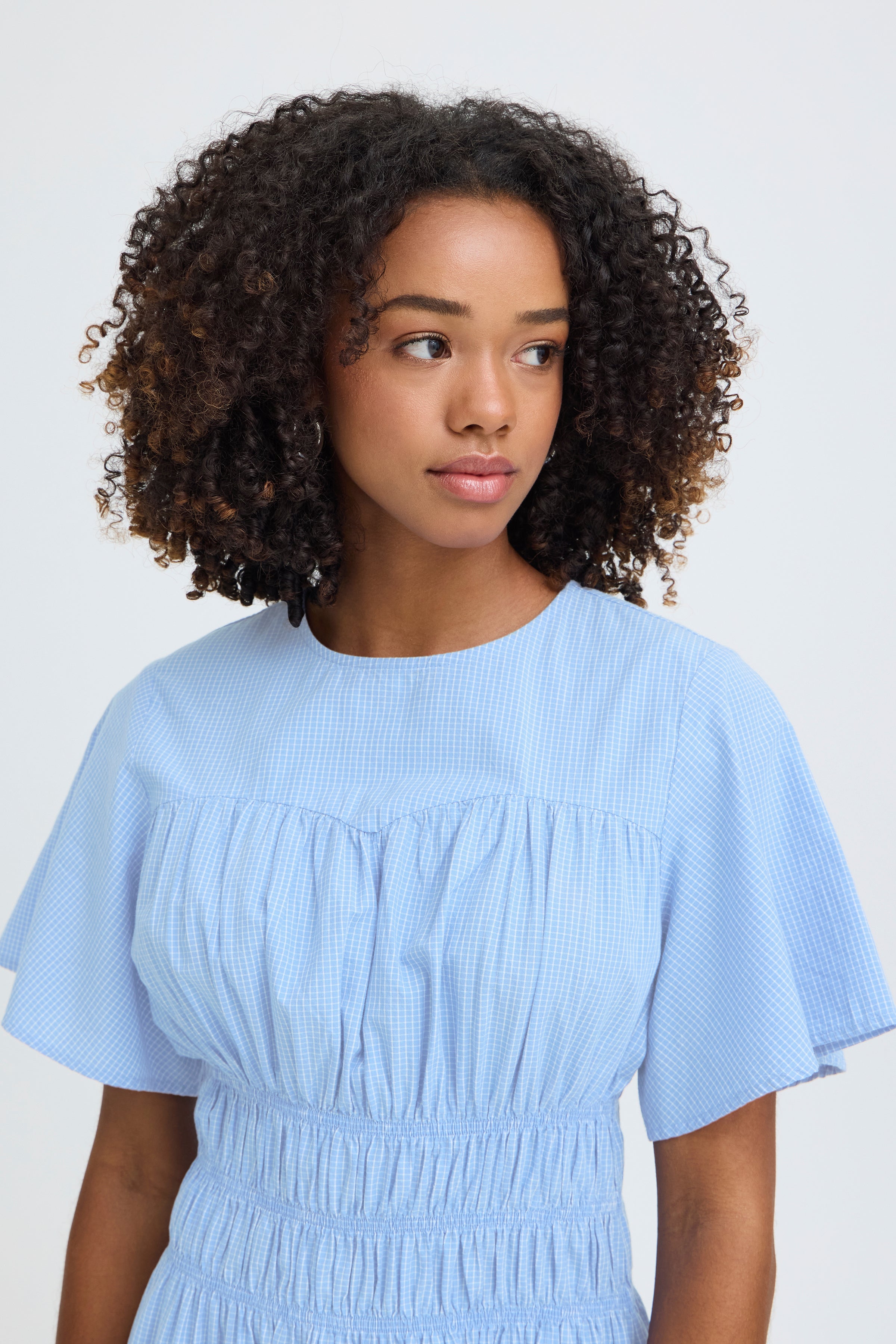 Gwenda Dress in Blue/White Check