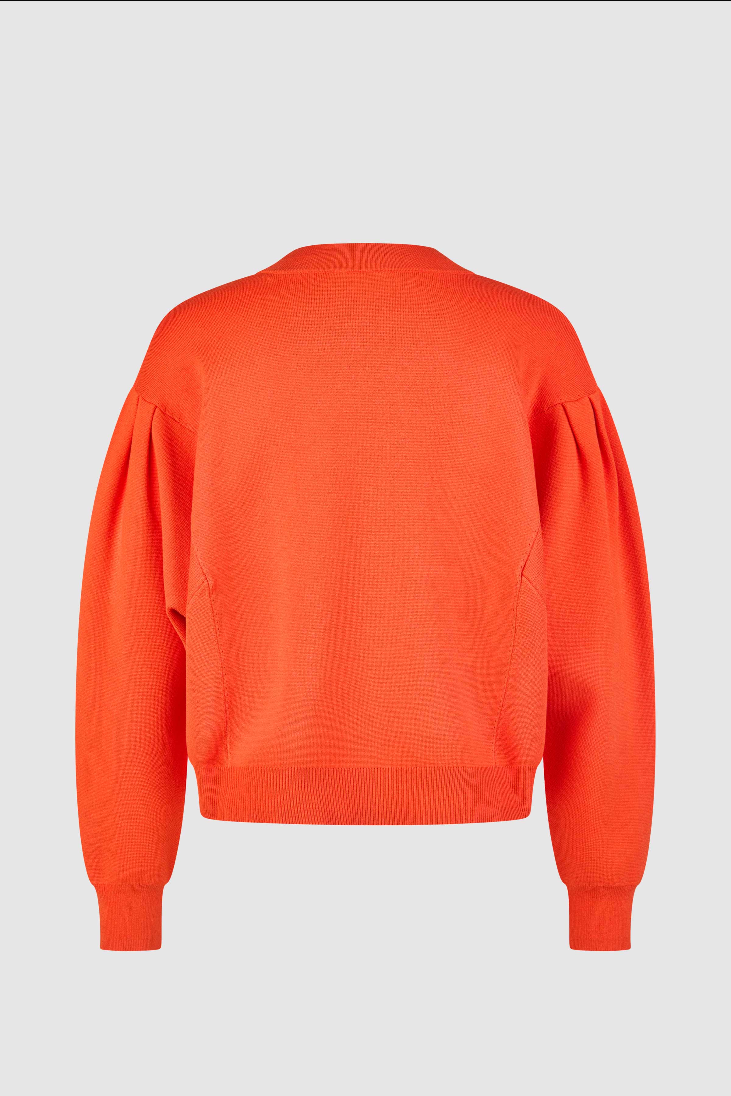Crew Neck Sweater in Pumpkin