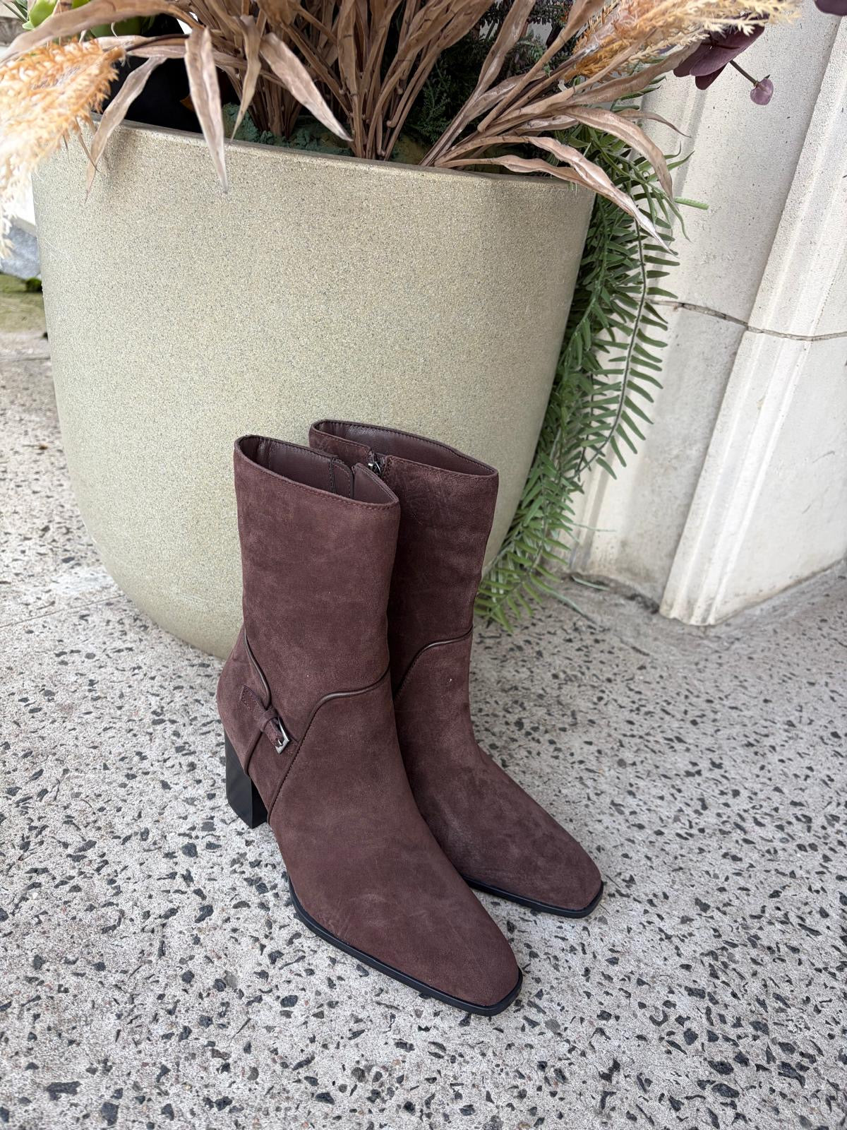 Suede Ankle Boots in Mogano Brown