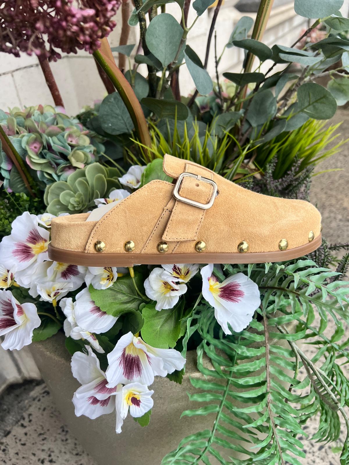 Studded Clog in Camello