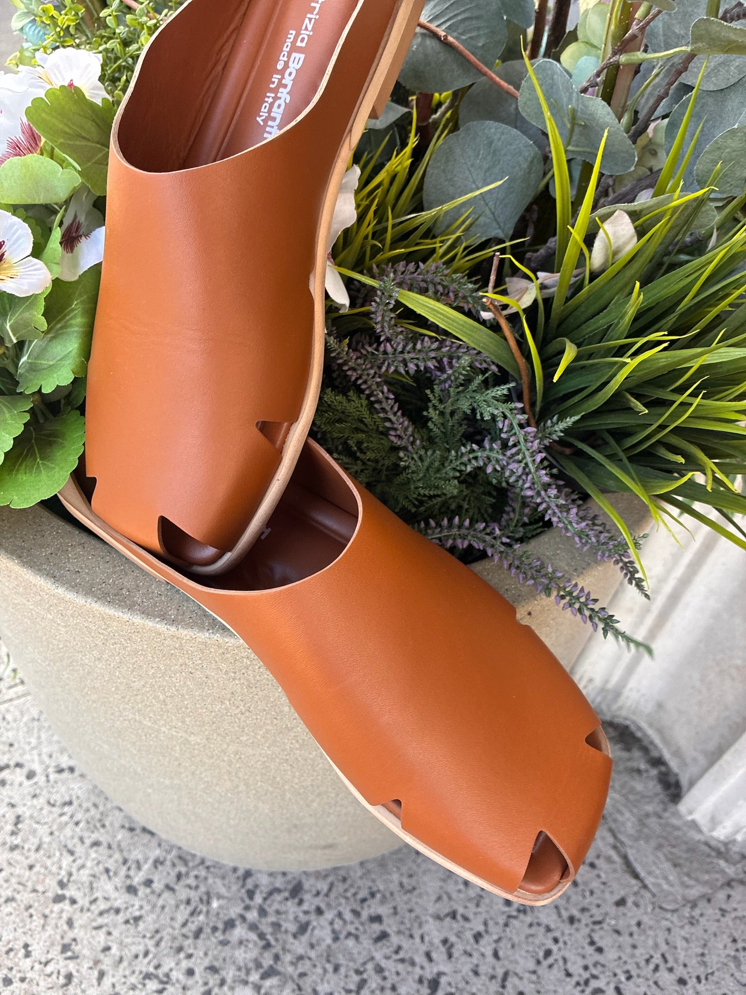 Loto Mule in Dreamer Nut