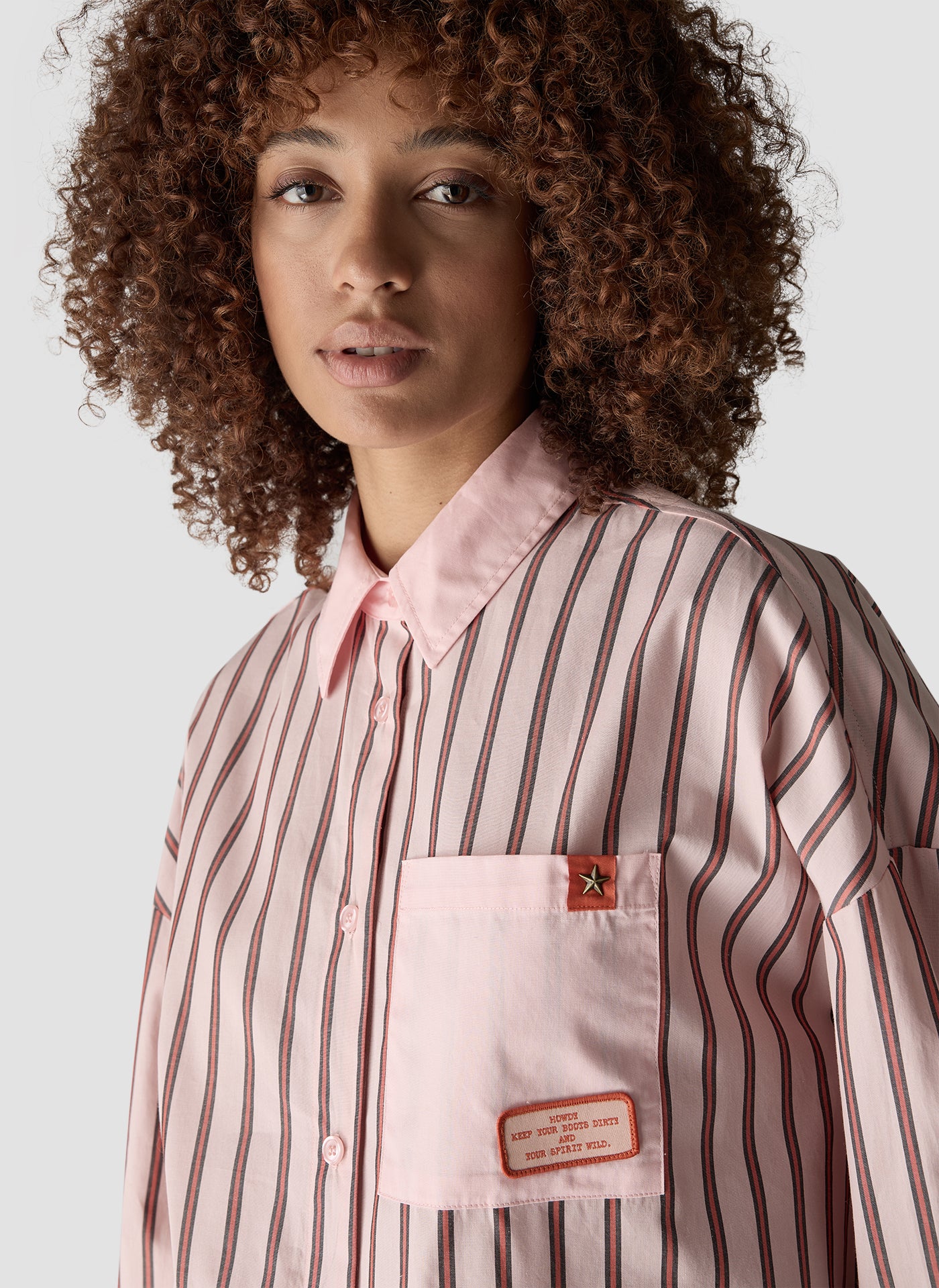 Rodeo Stripe Blouse in Powder