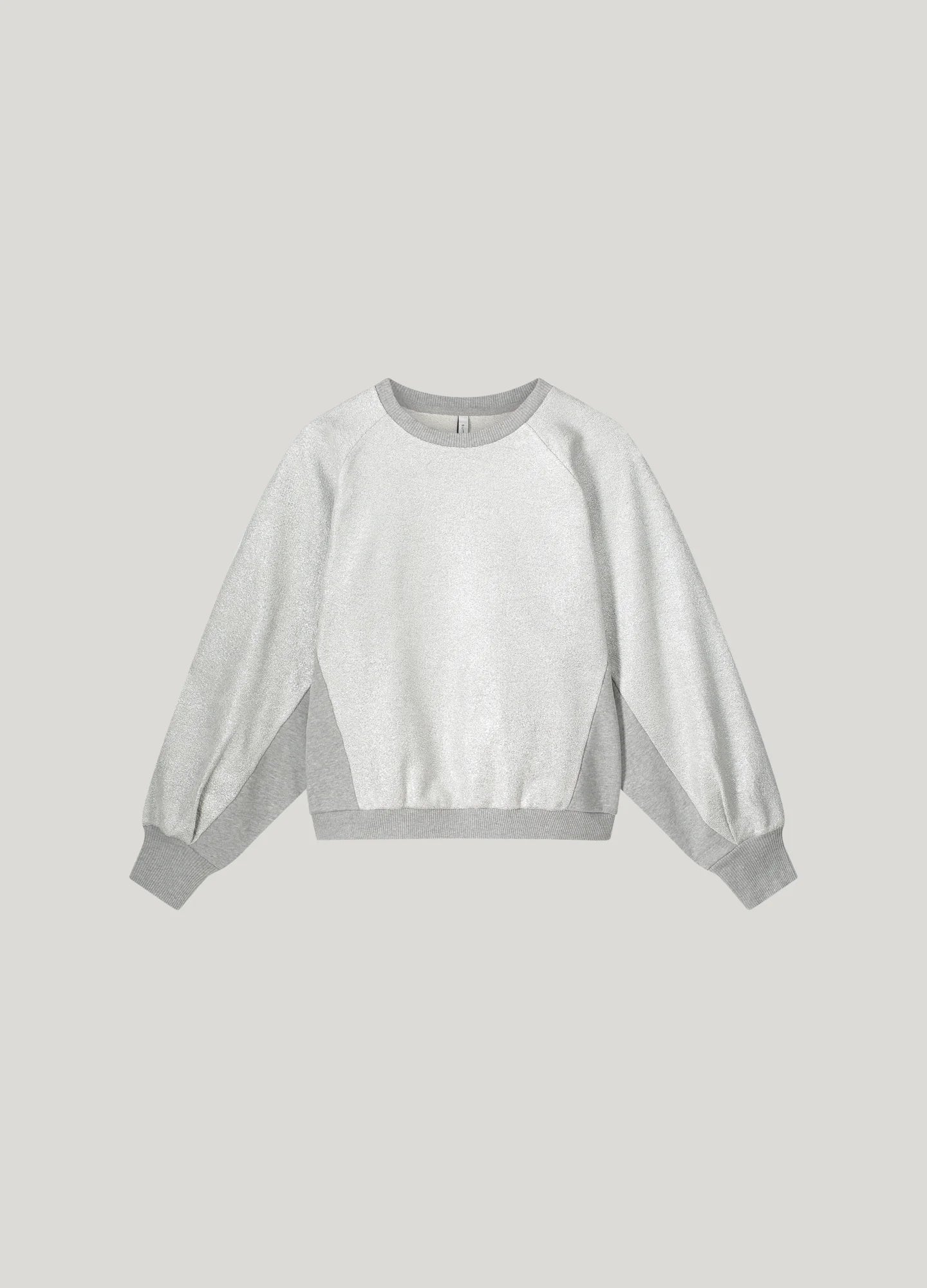 Loose Fit Coated Sweat in Mist