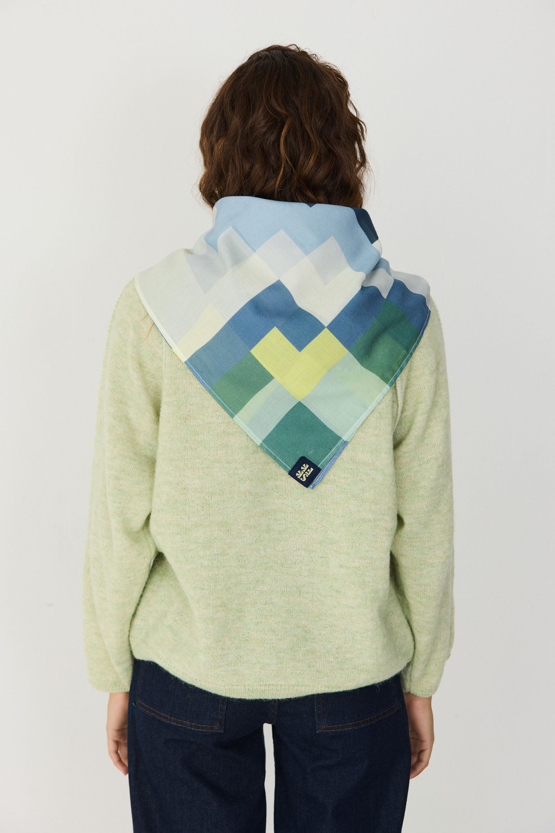 Ayena-Gots Scarf in Multicolour